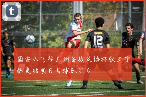 国安队飞往广州备战足协杯张玉宁林良铭明日与球队汇合